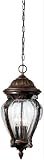 Eurofase 12915-019 Markham 1-Light Pendant, Foundry Bronze/Seeded Clear