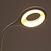Eye Care 1200mAh Rechargeable Led Desk Lamp, FineWish Warm & Cold White Light Transfer, Unlimited Level Touch Sensor, Adjustable Gooseneck for Home, PC, Reading, Studying, Working (2W, Stand Design)