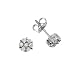FOJO's Diamond in Sterling Silver Fantasy Earrings (1/4 ct. tw.)