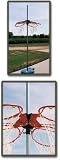Sporting Goods : TC Sports Rim Bracket for Pole