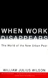 When Work Disappears: The World of the New Urban Poor   [WHEN WORK DISAPPEARS] [Paperback]