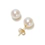 14k Yellow Gold 7.5x8mm AA Akoya Cultured Pearl Earrings