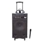 Pyle-Pro PWMA930I 600 Watt VHF Wireless Portable PA System/Echo with iPod Dock