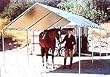 10 Ft. x 10 Ft. Canopy