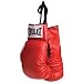Everlast Autograph Gloves