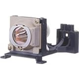 Replacement Projector Lamp