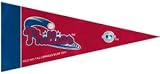 Philadelphia Phillies MLB Mini Pennants - 8 Piece Set