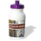 Kike Calvo Paris - Paris France, Notre Dame Cathedral - Water Bottles