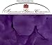 200 Silk Rose Petals Wedding Favors - Solid Colors - Purple