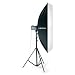 Elinchrom EL 26181 Rotalux 20 x 51 Inch Junior Recta Softbox with 2 Diffusers