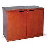 Hinged-Door Cabinet