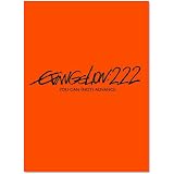ヱヴァンゲリヲン新劇場版：破　EVANGELION:2.22 YOU CAN (NOT) ADVANCE.【通常版】 [DVD]