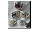 Review Dandy Lines  / Dandyline China Mugs Straight Cats