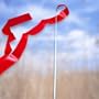 Red Gymnastics Ribbon Wand