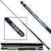 Dolphin Lover Pool Cue with Case