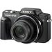 Sony Cybershot DSC-H10 8.1MP Digital Camera with 10x Optical Zoom with Super Steady Shot