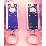Pack of two LED keyrings