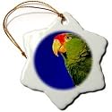 Birds - Green Cheeked Amazon Parrot - Ornaments