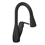 MOEN 7599BL Medora Single Handle Kitchen Faucet with Pullout Spout, Matte Black