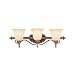 Savoy House Cordillera Three-Light Bath Fixture
