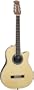 Applause by Ovation AN13-4 Acoustic Guitar