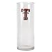 Texas Tech Red Raiders NCAA 9 Flower Vase - Primary Logo