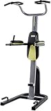 Fusion Power Tower Vertical Knee Raise