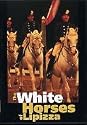 White Horses Of Lipizza [DVD]
