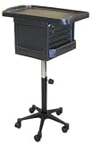 Lockable Color Cart 2400