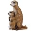 Meerkat with Baby