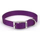 Coastal Pet Nylon Dog Collar (Purple, 18 Inch L x 1 Inch W)