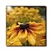 Spotlight on a Black Eyed Susan- Flowers- Macro Photography - 12 Inch Glass Tile