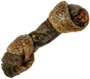 Snack 21 Salmon Skin Bones Dog Treats 10 Pack