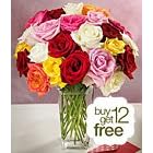Two Dozen Assorted Roses with FREE clear glass vase