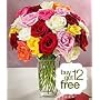 Two Dozen Assorted Roses