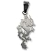 316L Stainless Steel Pendant Stainless Steel Pendant with laser-cut dragon design and matte finish. Height of Charm: 33mm Width of Charm: 15mm