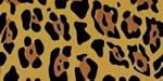Duck Brand Spotted Leopard All Purpose Duck Tape, 1.88 Inches x 10 Yard Single Roll (1379347)