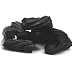 Kookaburra Australian Black Licorice, 16 Oz. Kookaburra Australian Black Licorice, 16 Oz.