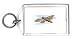 Keychain with insect, hawk, eyed, moth