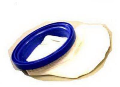 Pool Blaster Max / CG Sand and Silt Bag