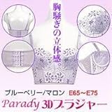 Parady@3DuW[@EJbvu[x[E65