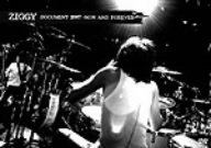 DOCUMENT 2007 -NOW AND FOREVER- [DVD]