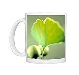 Ginkgo leaf and berries Photo Mugs