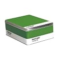 PANTONE Box Gr�n "377 Macaw Green"