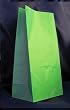 Paper Favor Treat Goody Luau Party Gift Bags - Green (12 Bags)