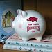 Arkansas Razorbacks NCAA Born to Be Piggy Bank
