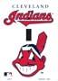 Cleveland Indians Light Switch Cover (single)
