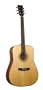 Recording King Acoustic Guitar Solid Top & Back, Mahogany