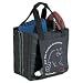 Stadium Cushion Seat / Tote Bag No Blanket