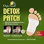Clayton Naturals Detox Foot Patch
